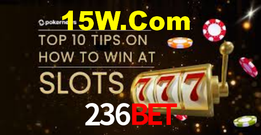 236Bet App